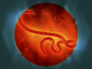 Ebola